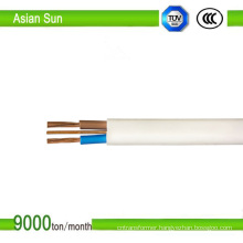 Twin Flat Earth Copper Cable TF Ecc Cable BS6004